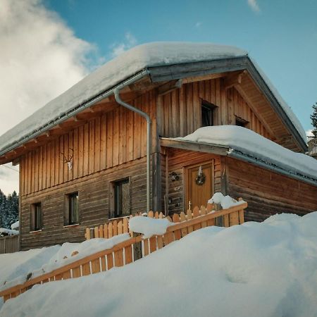 הוילה Chalet In Annaberg-Lungotz With Terrace מראה חיצוני תמונה